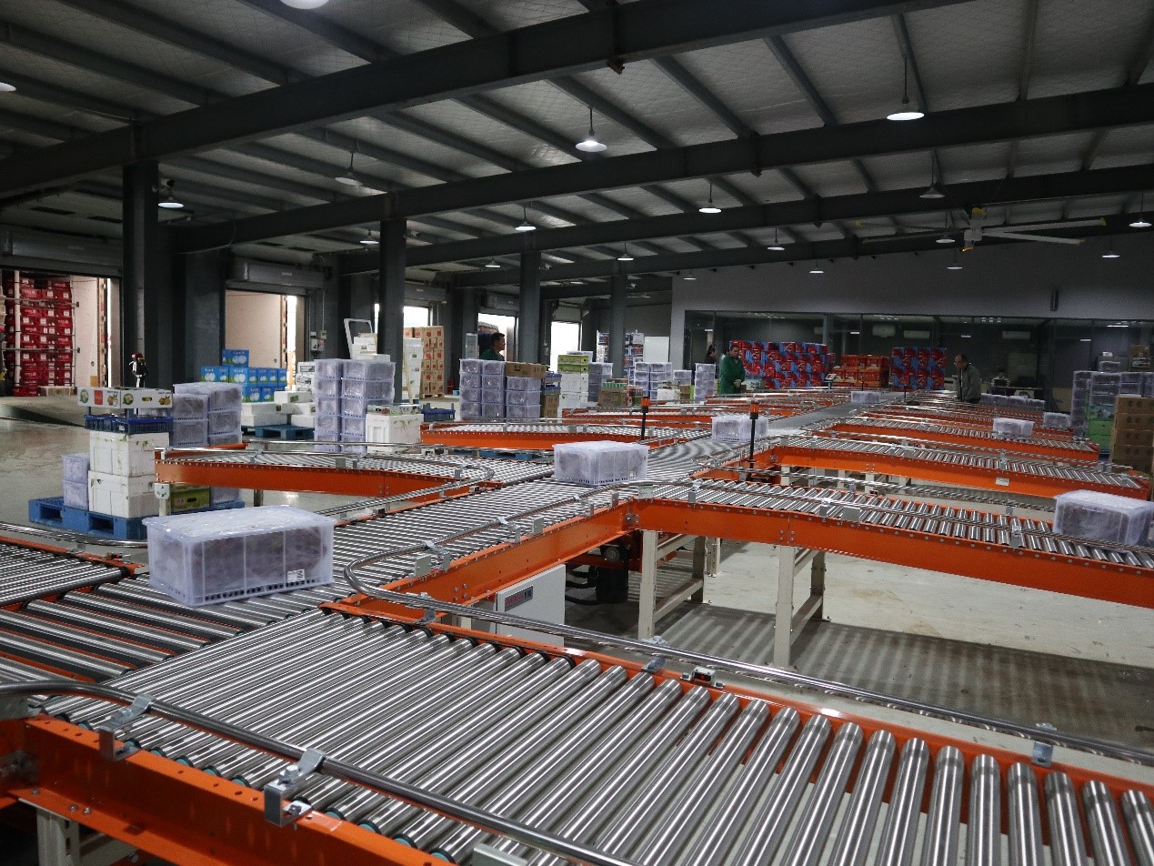 生鮮食品行業(yè)新項(xiàng)目竣工 | 蘇洪鮮食倉(cāng)儲(chǔ)智能管理系統(tǒng)正式上線